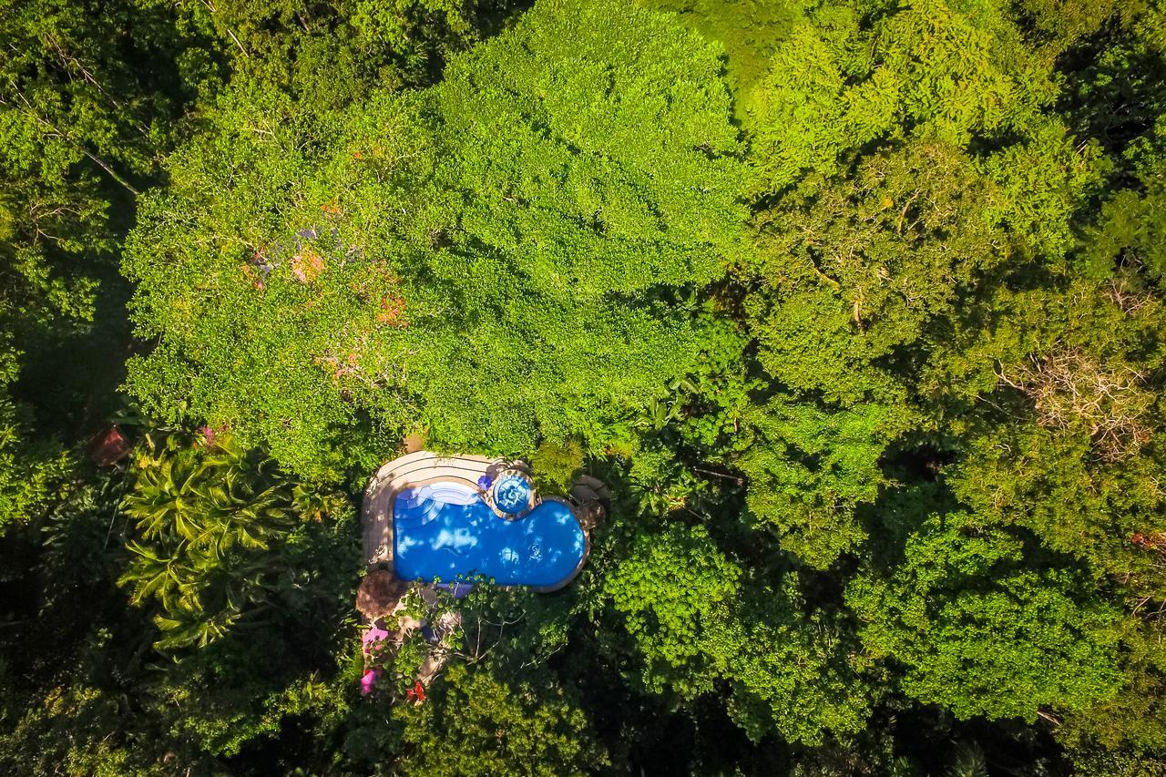 The Goddess Garden Eco-Resort Cahuita Exterior foto