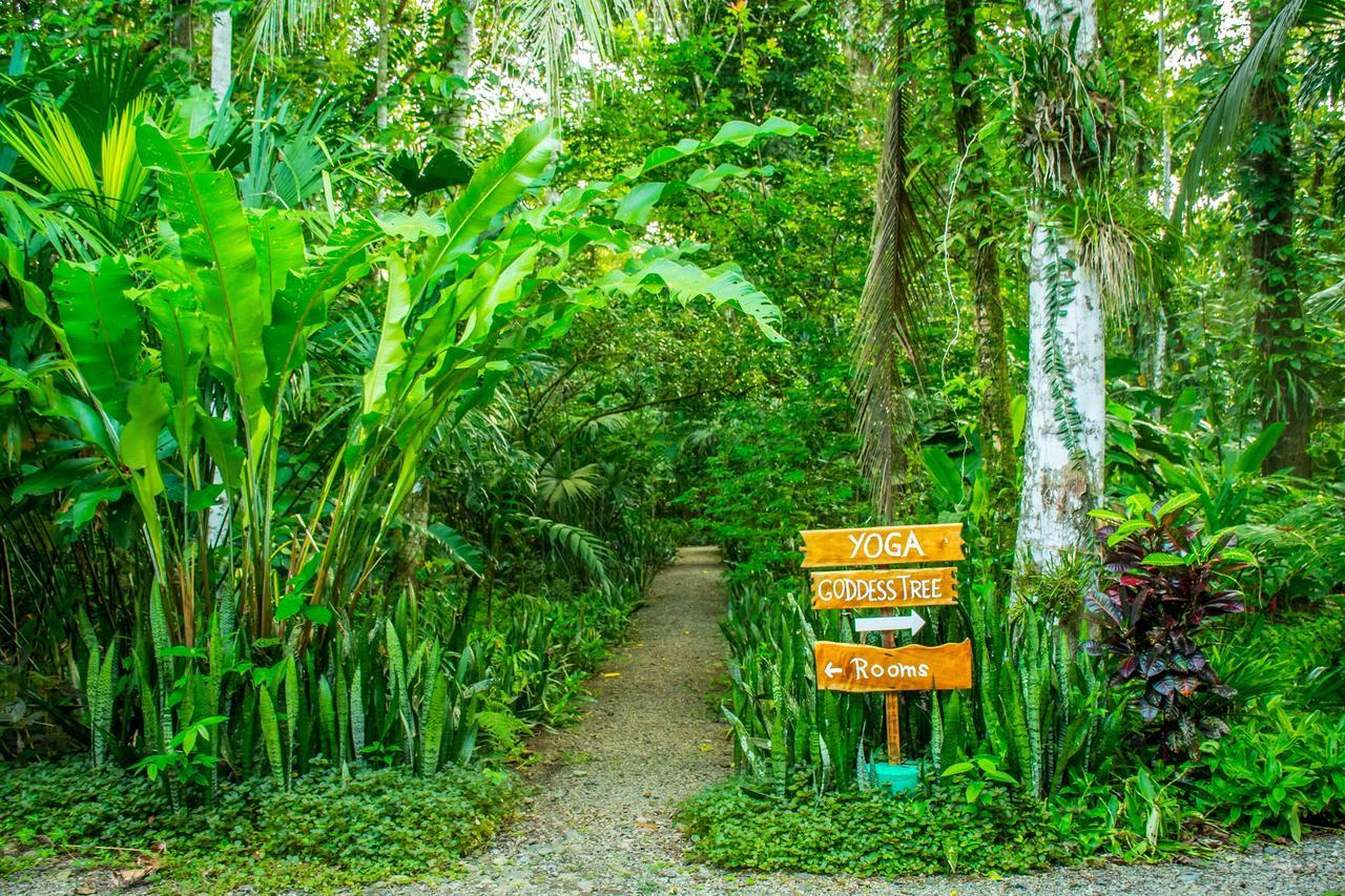The Goddess Garden Eco-Resort Cahuita Exterior foto